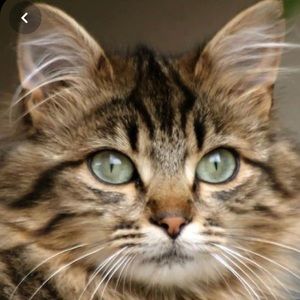 Meet your Posher, Robin